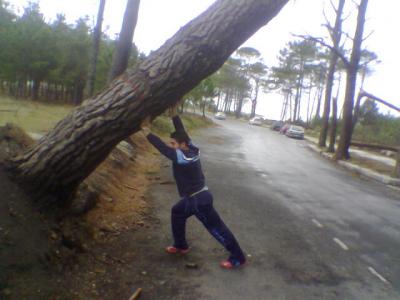 20061023131141-imagen153.jpg