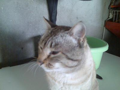 20070103122336-juapo015.jpg